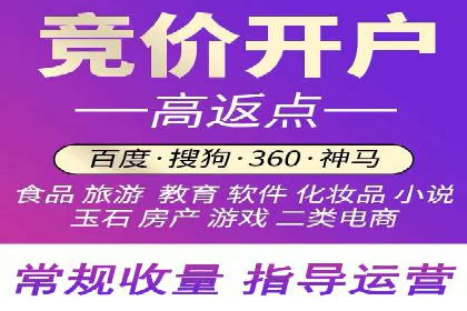 百度广告投放策略优化及成功案例解析